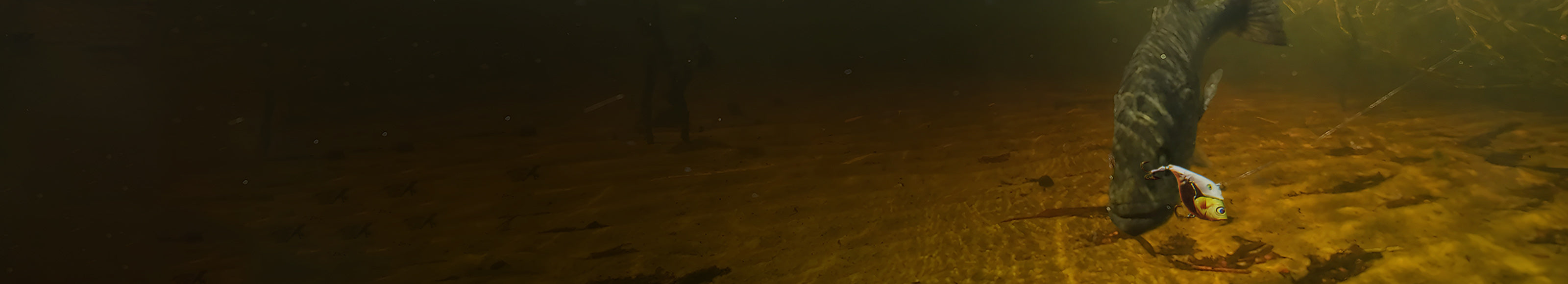 HANDING M1 Rattling Lipless Crankbait  Fishing Lure