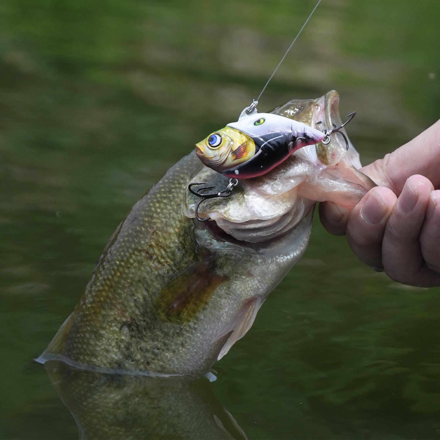 Bass caught using HANDING M1 Rattling Lipless Crankbait