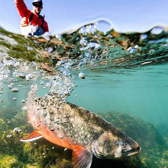 HANDING Inviting you to join, enjoy and create the future with us.