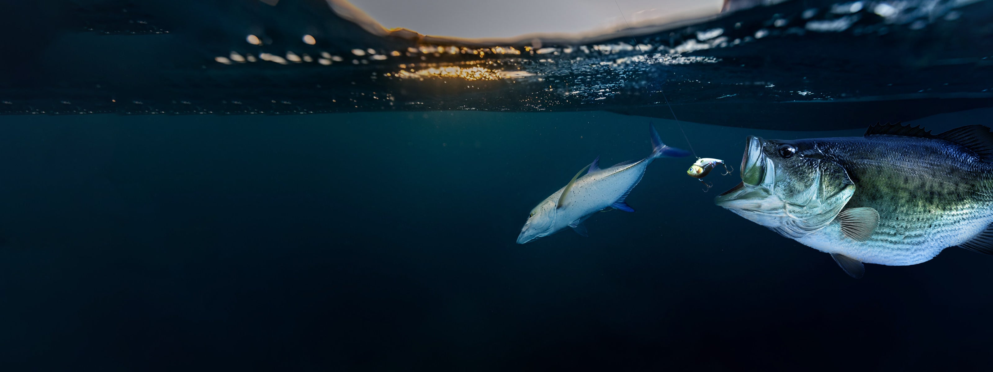 HANDING Fishing Lures has Unique Design and Ultimate Performance