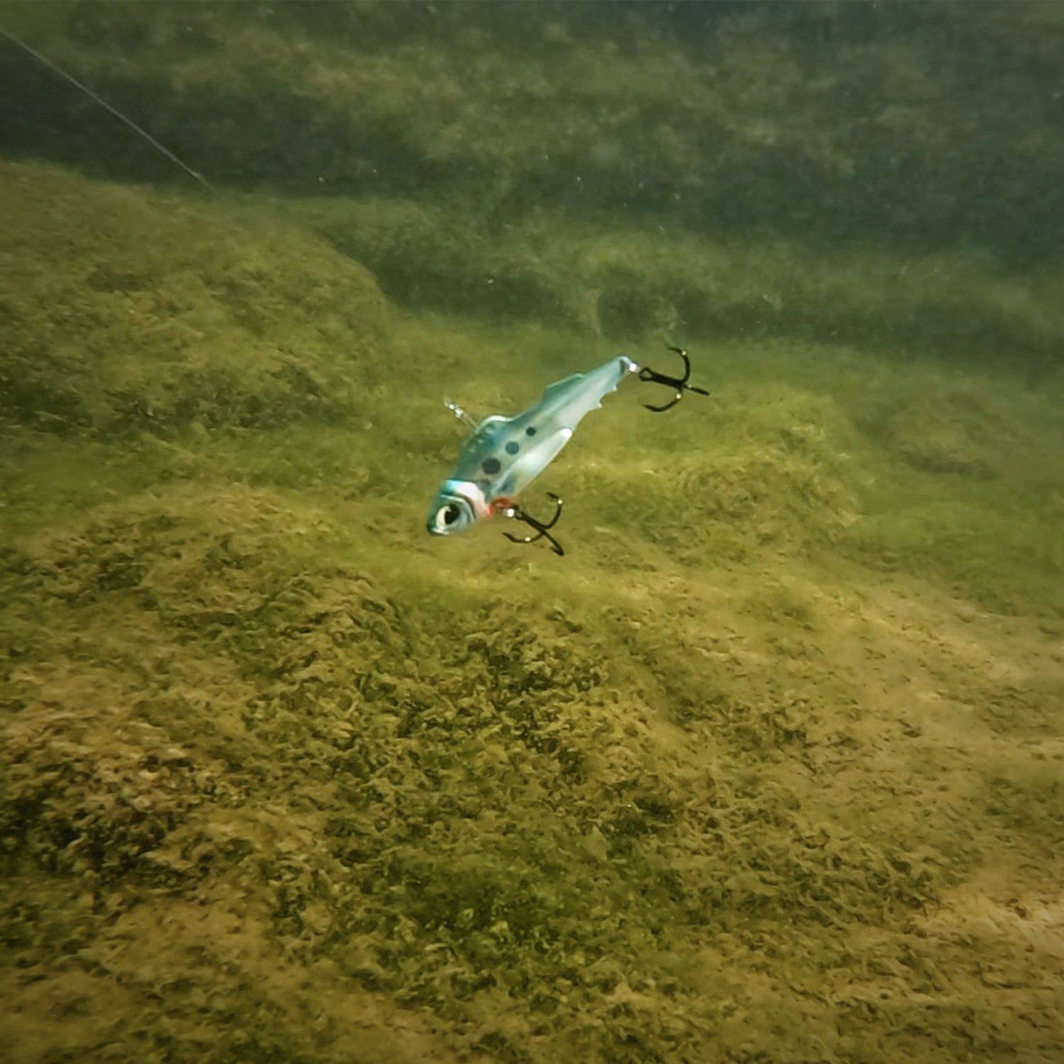 Fishing with Live Bait vs. Artificial Lures: Pros and Cons
