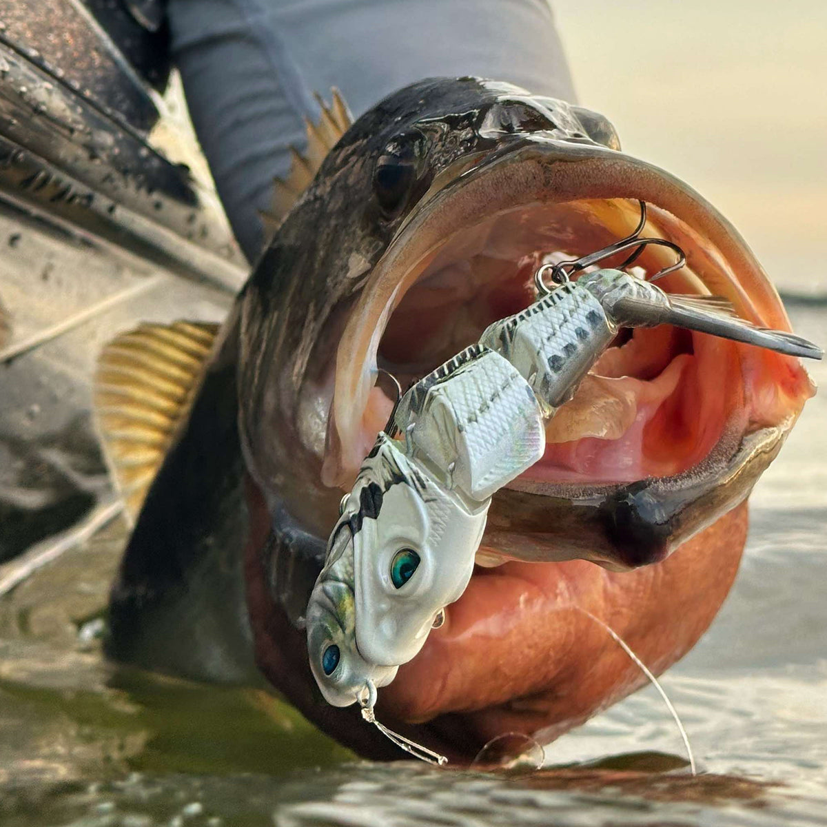 berkley baitcasting reel AMP 6.6ft Fishing Rod Fish With Hanish Tackles this is the perfect product to take straight to the water Berkley Fishing Berkley Lightning Rod