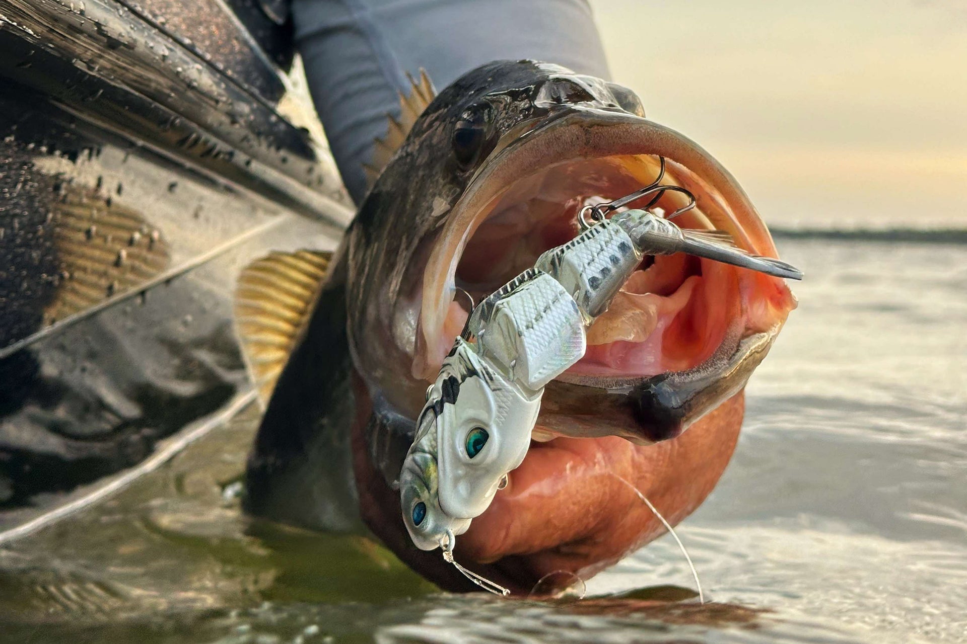chasing monsters fishing rod and reel MASTER LOGIC Monster Catfish Casting Rod, 7' MH Glow-in-Dark 1-Piece sized adventure! Discovery Channel's Chasing Monsters in
