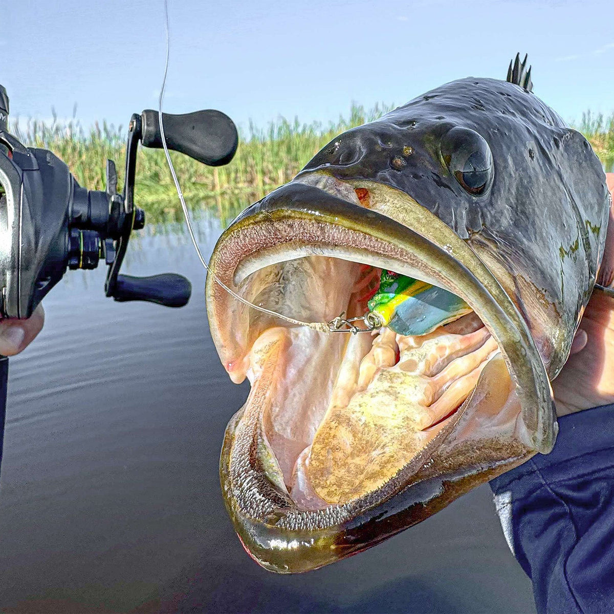 baitcasting reel v spinning reel beach fishing 5.2:1 Gear Ratio Low Profile Casting with Magnetic Braking System for Freshwater Saltwater Fishing- Right Hand : Sports & Outdoors Catfish Pro 600CTS Round Baitcaster Reel Right Handed The 4 Best Fishing Reels