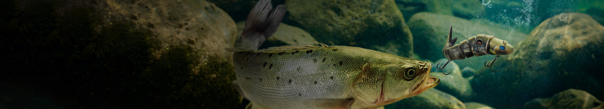 fishing lures for largemouth bass