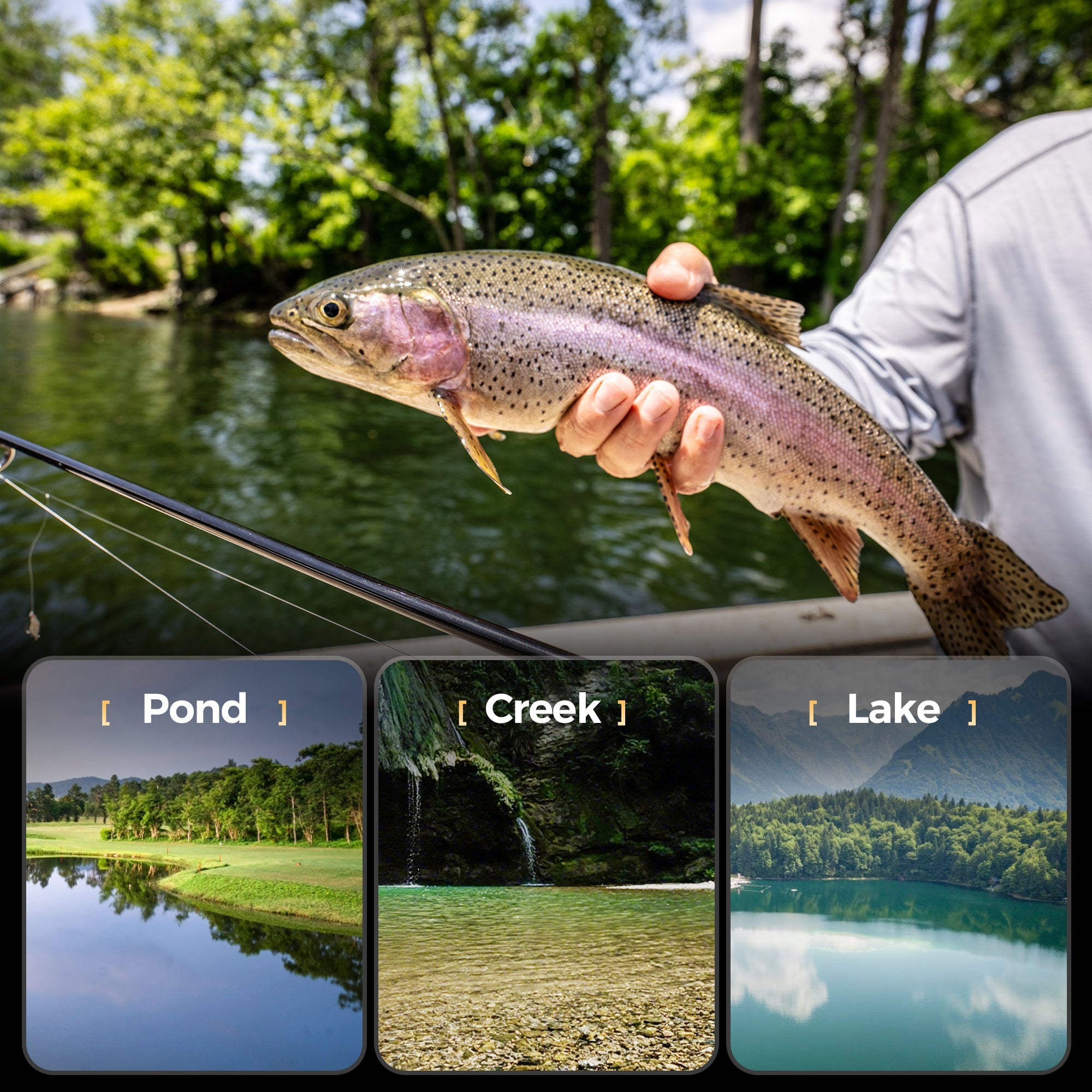pioneer-trout-fishing-rod Versatile_Finesse_Performer