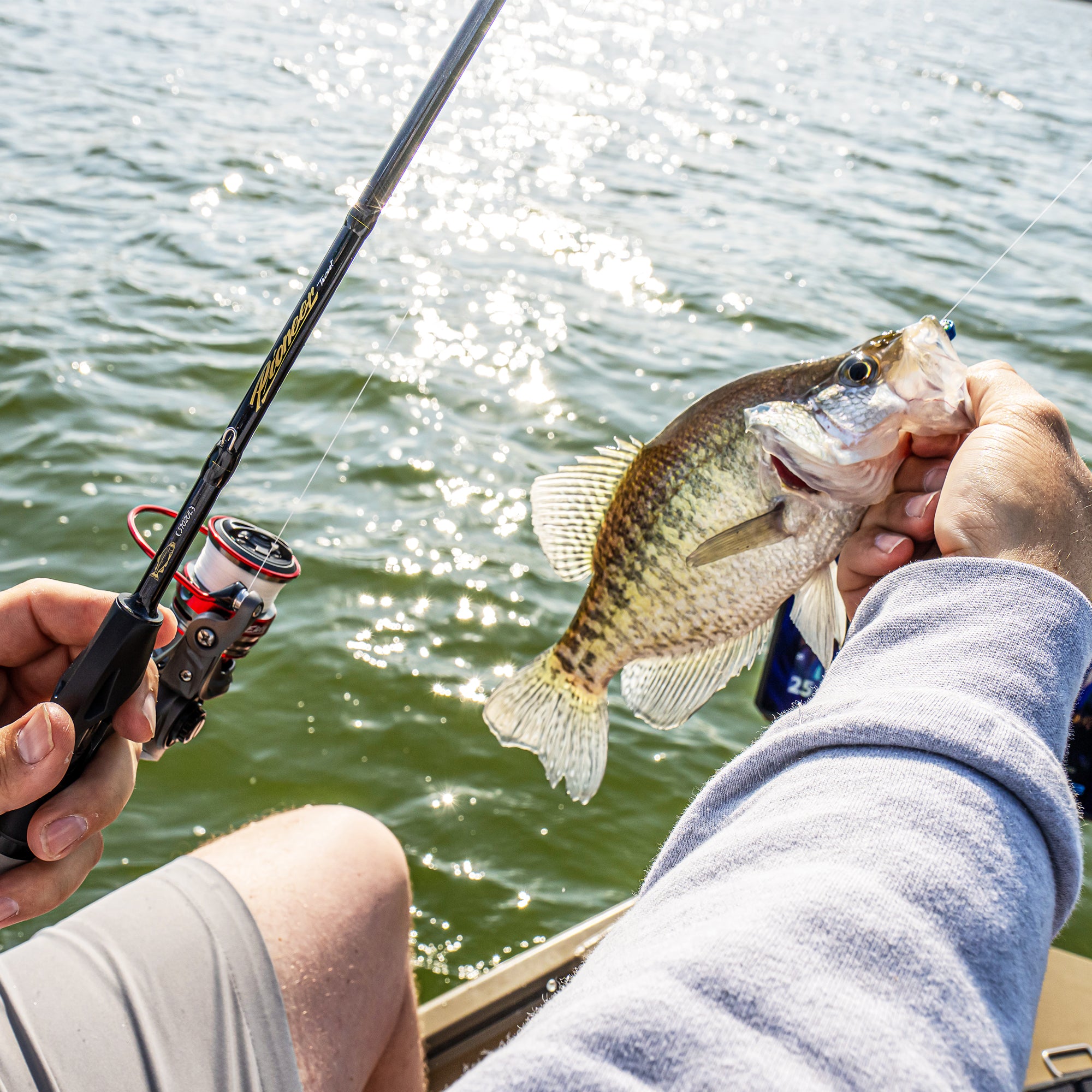 Angler holding crappie with ultralight spinning rod